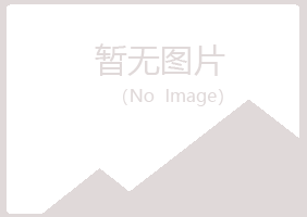 铜川耀州夏岚能源有限公司